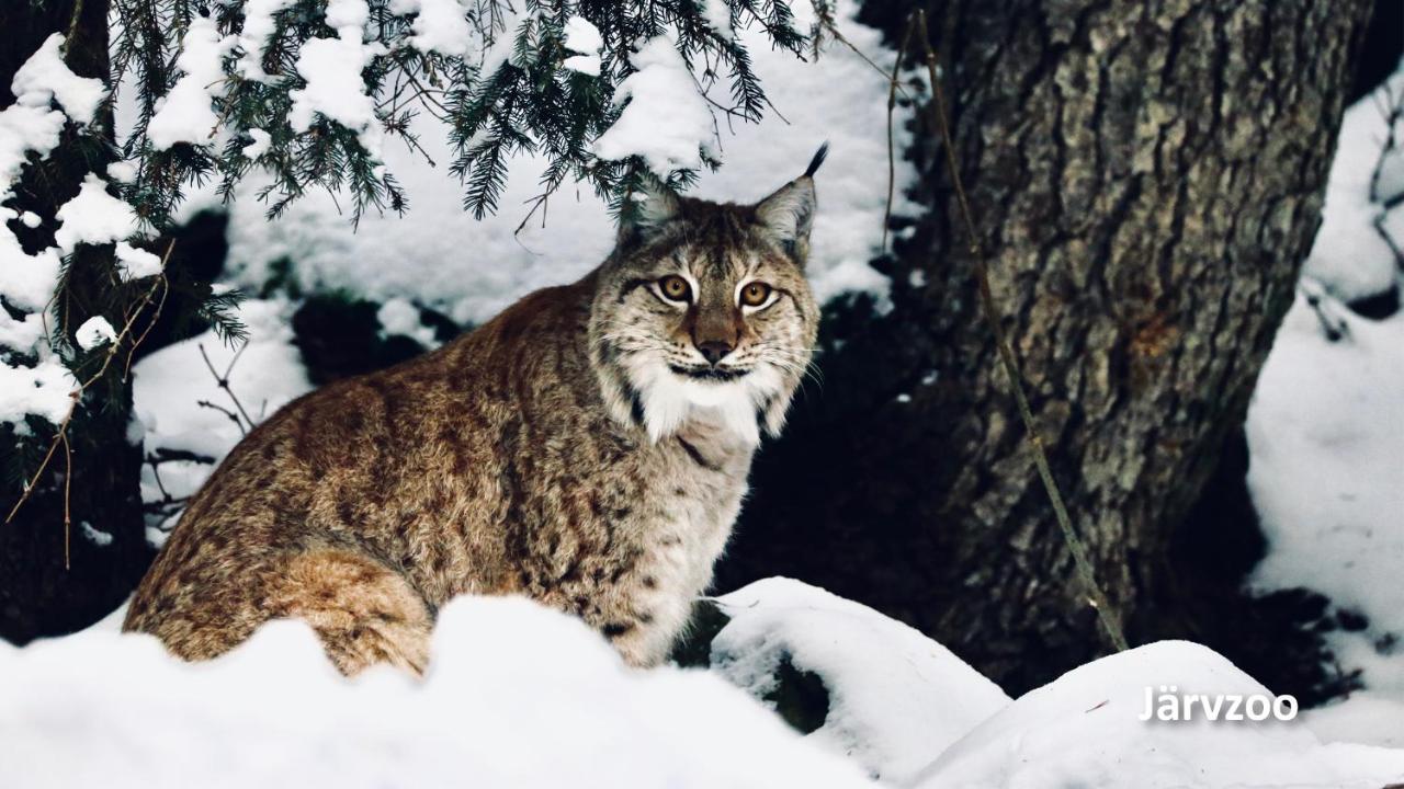 Nyrenoverat Boende I Vackra Jarvso Bagian luar foto