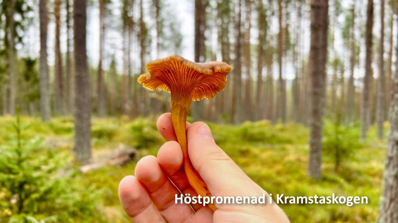 Nyrenoverat Boende I Vackra Jarvso Bagian luar foto